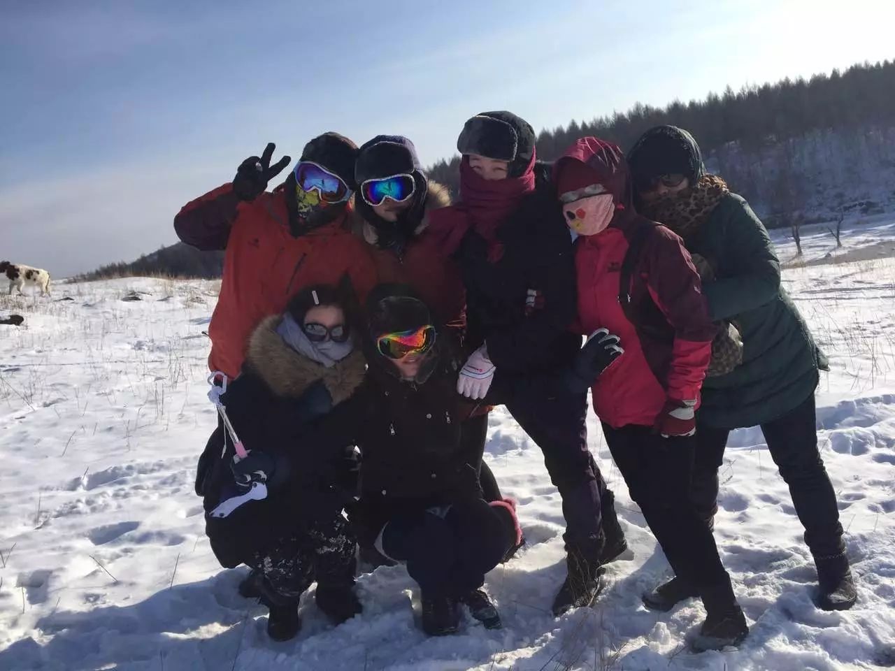 陌上·花溪堂，陌上花開笑顏傾城