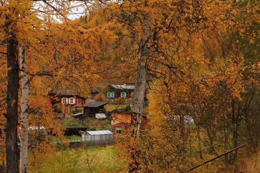 陌上·花溪堂，陌上花開笑顏傾城