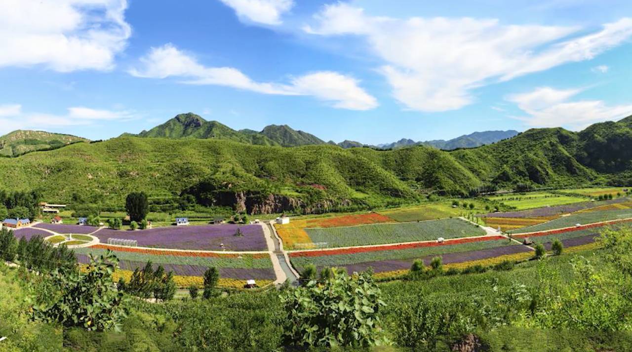 陌上·花溪堂，陌上花開笑顏傾城