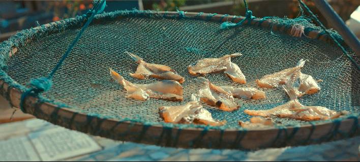 溫州·花崗漁村，海外桃源別有天此間小住亦神仙