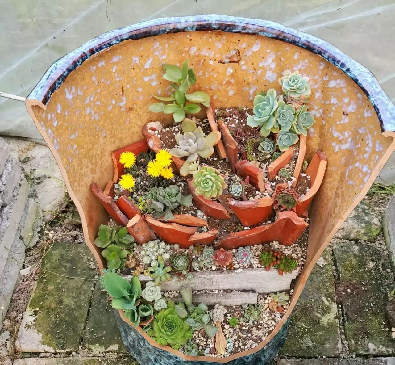 溫州·花崗漁村，海外桃源別有天此間小住亦神仙