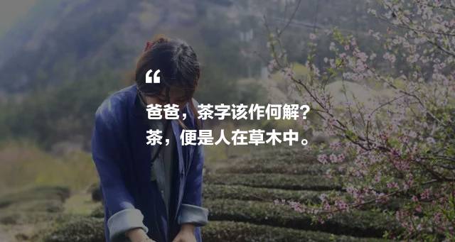 曉陽春茶，尋找茶道融于茶水中的美好生活