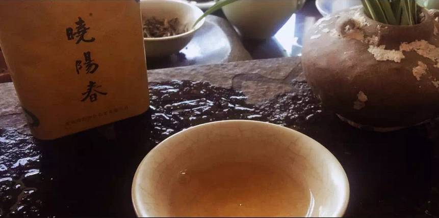 曉陽春茶，尋找茶道融于茶水中的美好生活