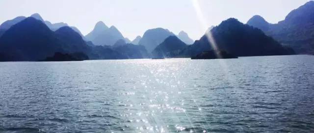 桃花壹號，靜下來品味生活最美的那一面