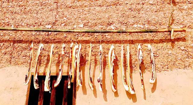 桃花壹號(hào)，靜下來品味生活最美的那一面