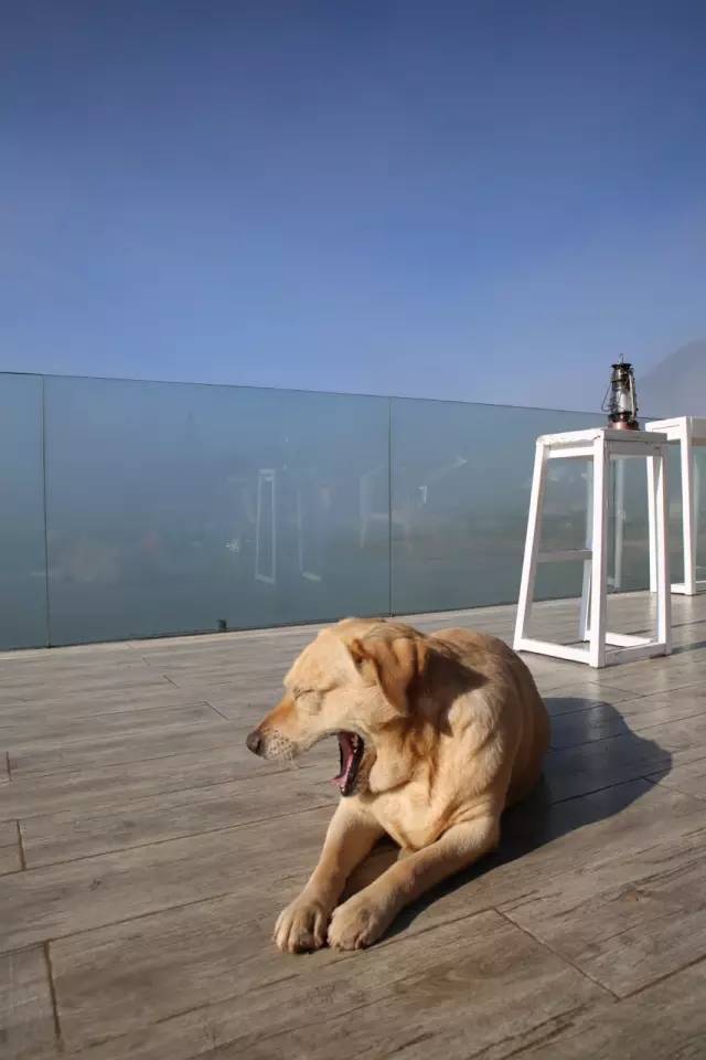 桃花壹號(hào)，靜下來品味生活最美的那一面