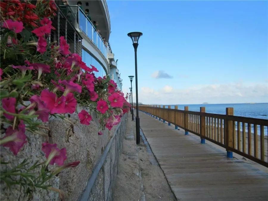 三個(gè)廈大人，做一個(gè)最廈門最廈大的民宿夢(mèng)