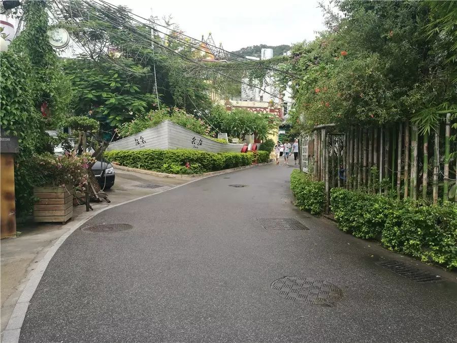 三個廈大人，做一個最廈門最廈大的民宿夢