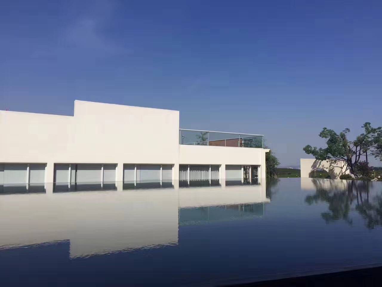 茗墅茶莊園，西湖以外的西湖