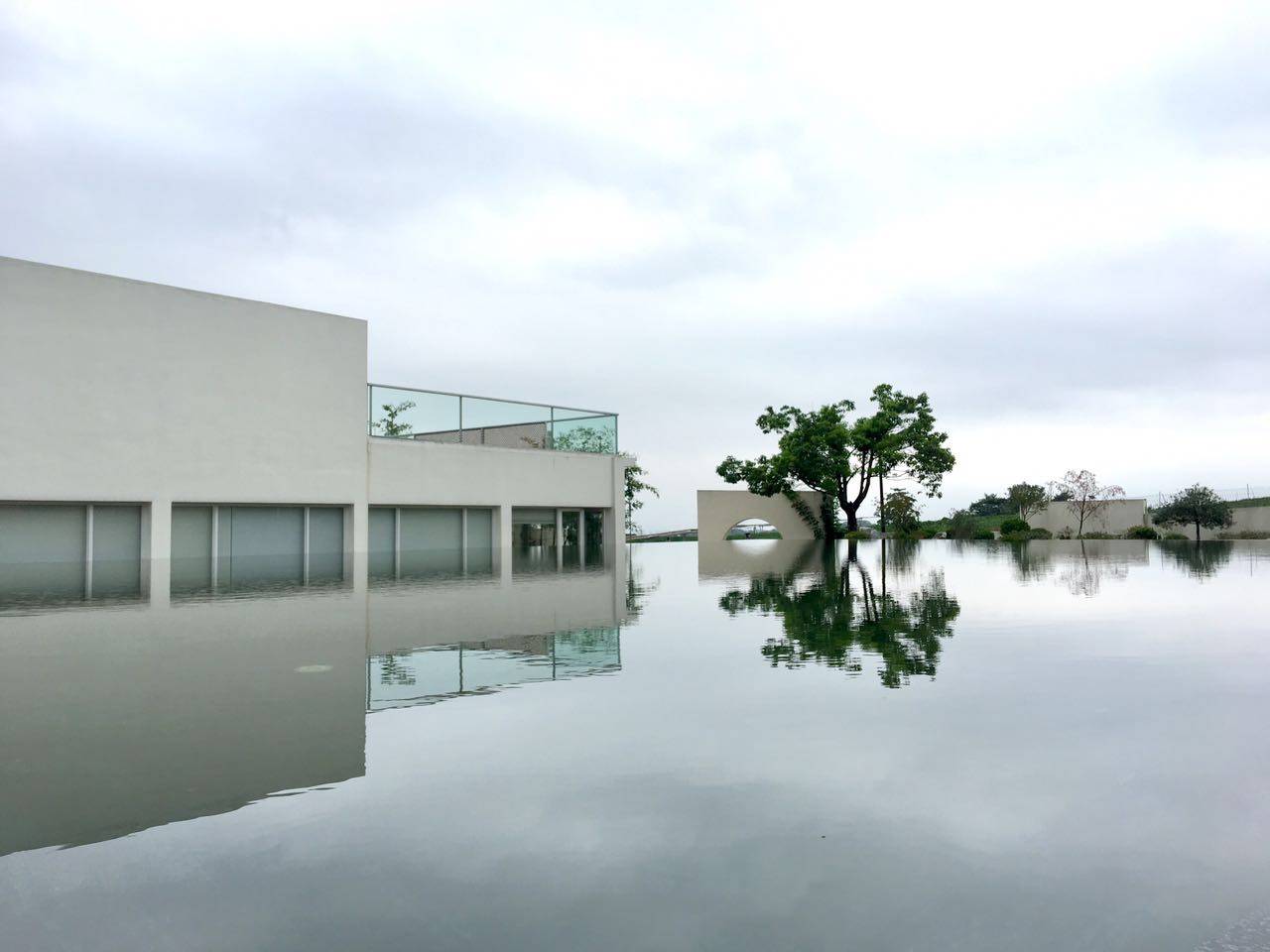 茗墅茶莊園，西湖以外的西湖
