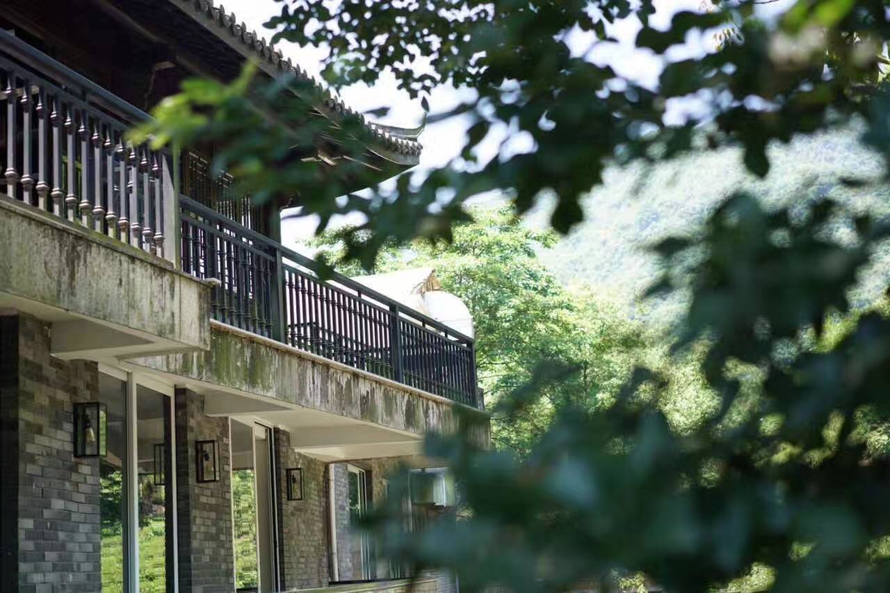 茗墅茶莊園，西湖以外的西湖