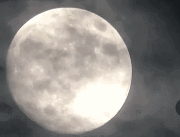 茗墅茶莊園，西湖以外的西湖