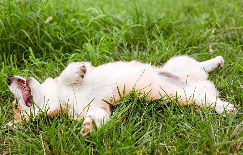 北京金岳臺溫泉酒店，承載著上個世紀的老磚樓