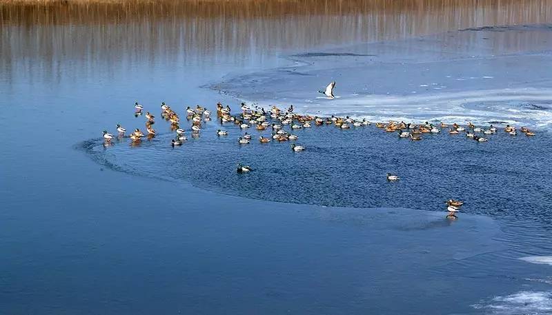 北京金岳臺(tái)溫泉酒店，承載著上個(gè)世紀(jì)的老磚樓