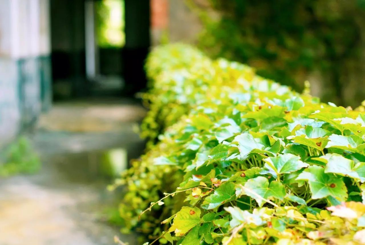 東極島·梵嶼，向往藍(lán)色自由守護(hù)心中美好的島嶼