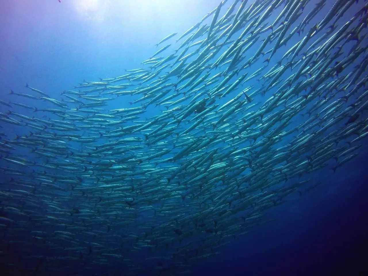 東極島·梵嶼，向往藍(lán)色自由守護(hù)心中美好的島嶼