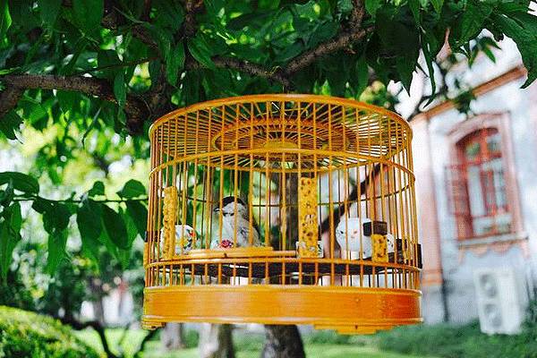 中國的四合院，才是真正的豪宅!