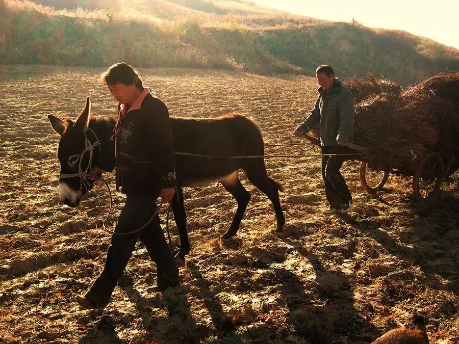 畫畫找回內心真實的自己