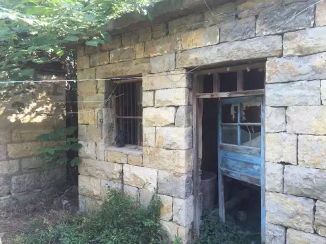 桃花源，有花為伴有茶糊口每一天都是美好光陰