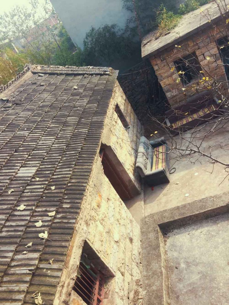 桃花源，有花為伴有茶糊口每一天都是美好光陰