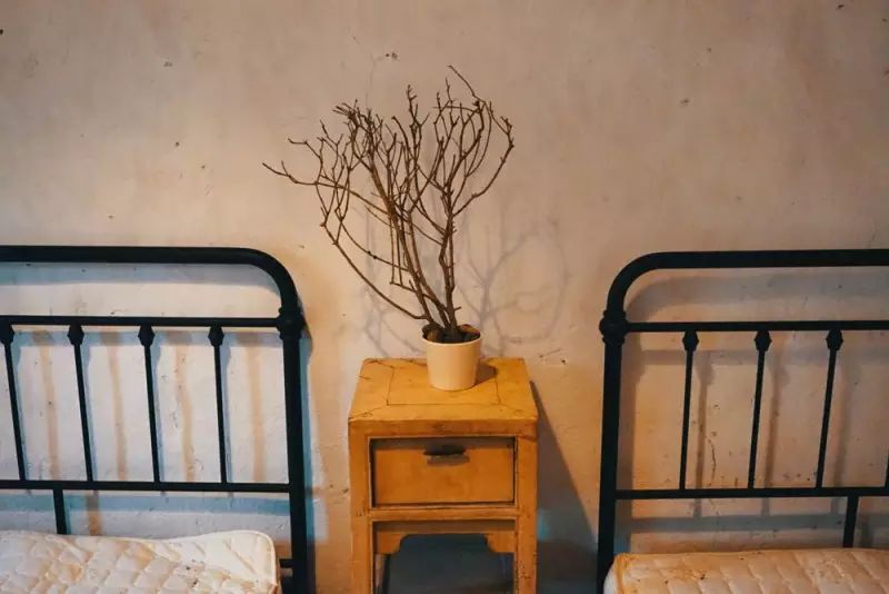 桃花源，有花為伴有茶糊口每一天都是美好光陰