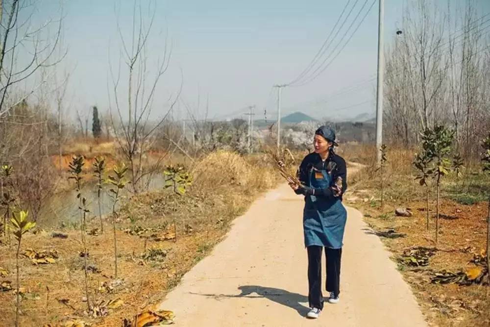 桃花源，有花為伴有茶糊口每一天都是美好光陰