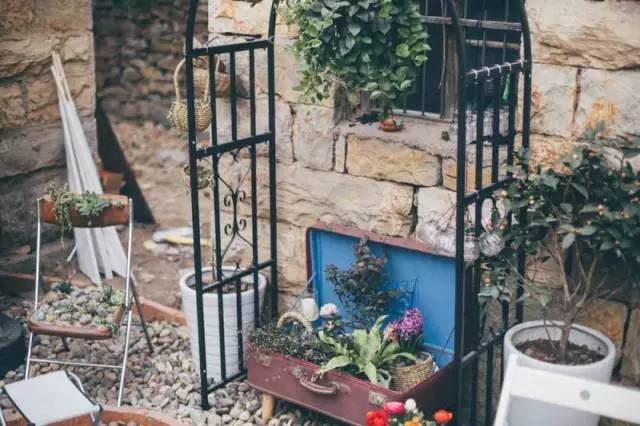 桃花源，有花為伴有茶糊口每一天都是美好光陰