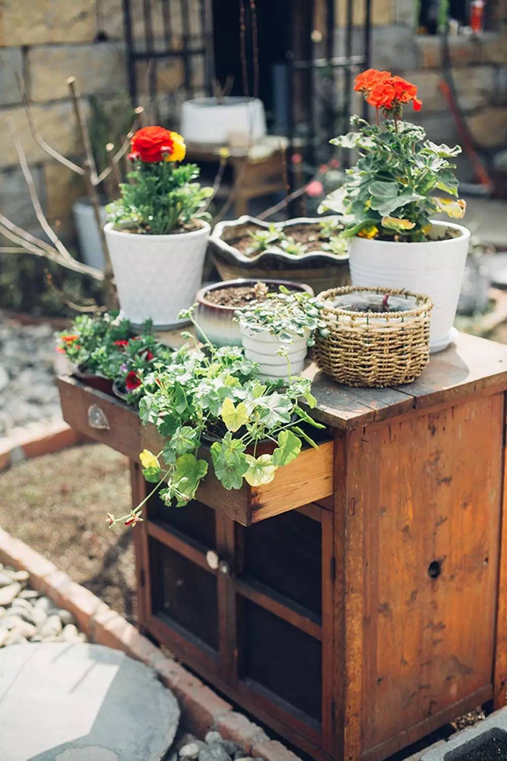 桃花源，有花為伴有茶糊口每一天都是美好光陰
