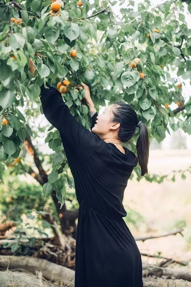 桃花源，有花為伴有茶糊口每一天都是美好光陰