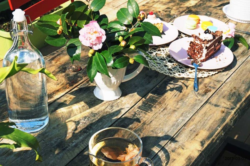 桃花源，有花為伴有茶糊口每一天都是美好光陰