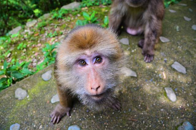 云門山居，雕琢廚藝隱居世外匠心如一