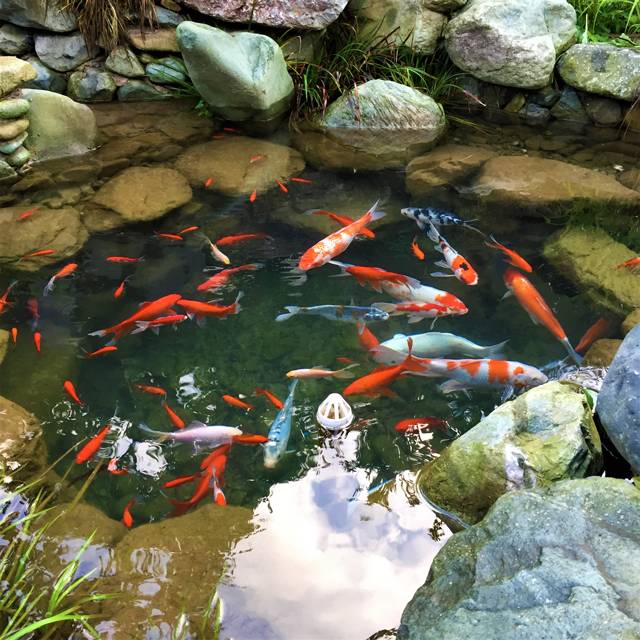 云門山居，雕琢廚藝隱居世外匠心如一