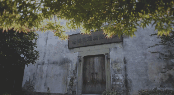 塘棲古鎮(zhèn)小茶姑娘，古鎮(zhèn)溪邊沐浴清風(fēng)滌蕩心靈