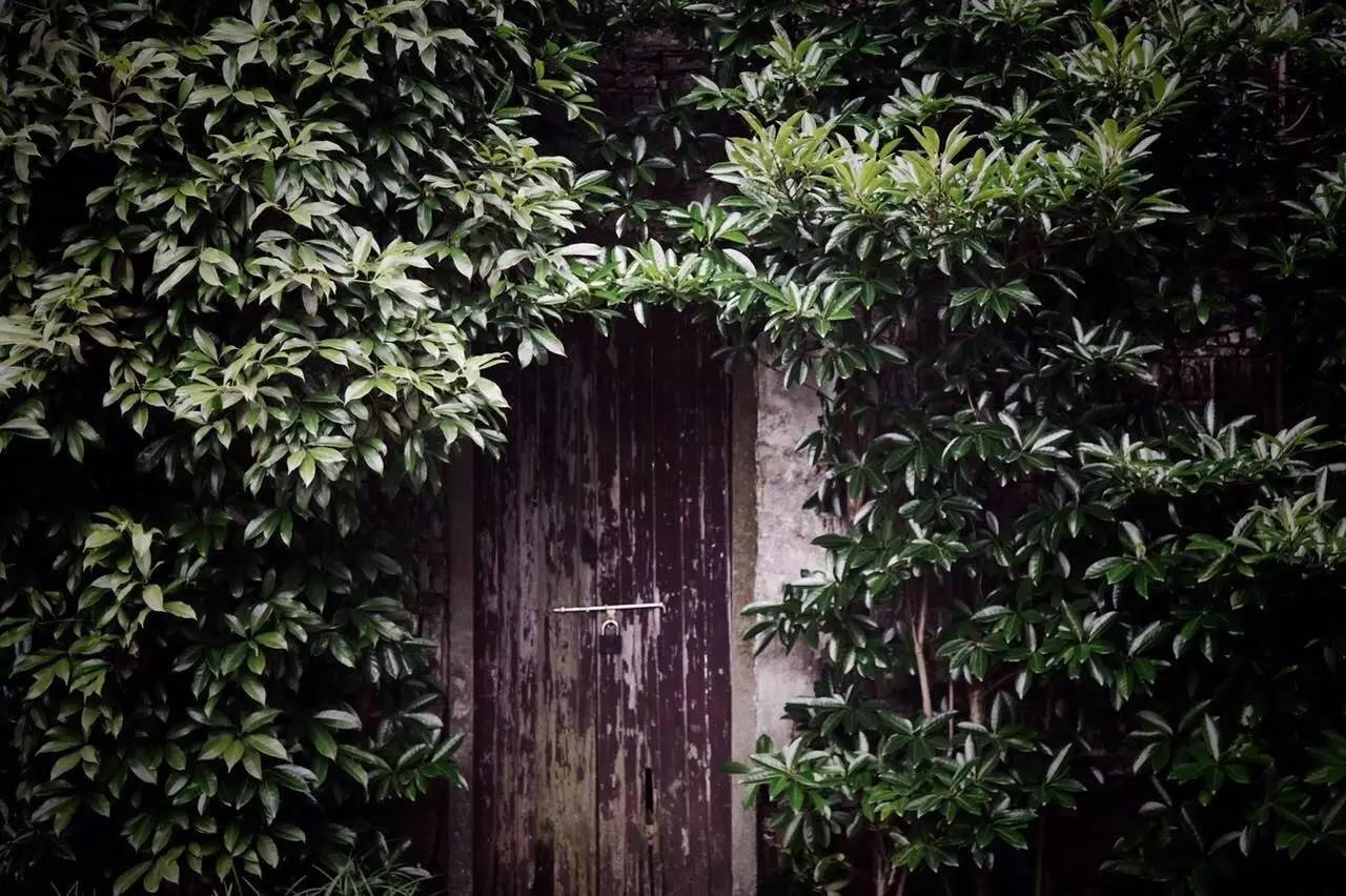 塘棲古鎮(zhèn)小茶姑娘，古鎮(zhèn)溪邊沐浴清風(fēng)滌蕩心靈