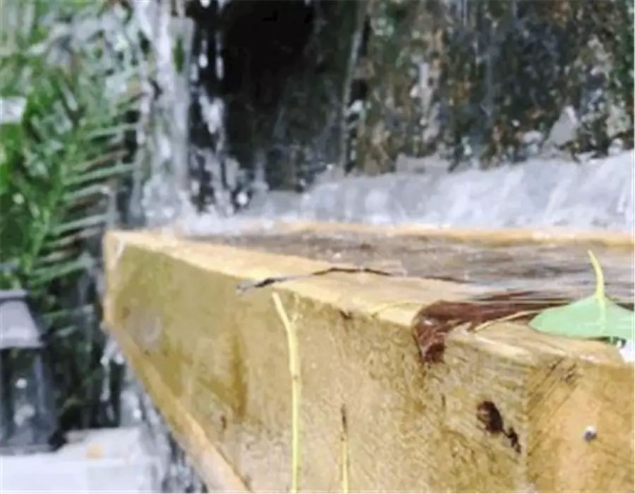 杭州·若白雅苑，擁有無(wú)邊泳池「最好泡民宿」