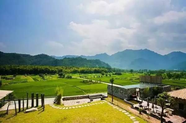 3間開在稻田里的民宿，回歸自然向往田園風(fēng)光