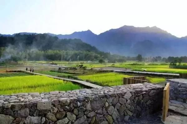 3間開在稻田里的民宿，回歸自然向往田園風(fēng)光