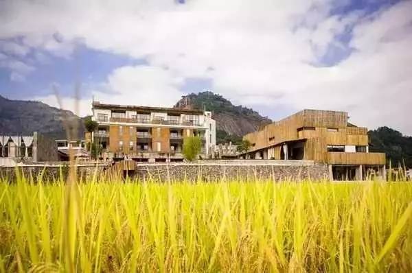 3間開在稻田里的民宿，回歸自然向往田園風(fēng)光