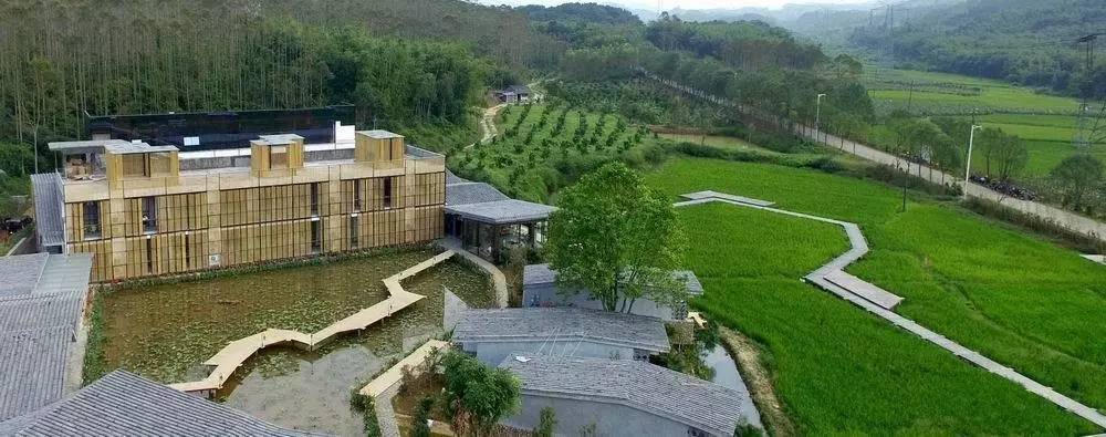 3間開在稻田里的民宿，回歸自然向往田園風光