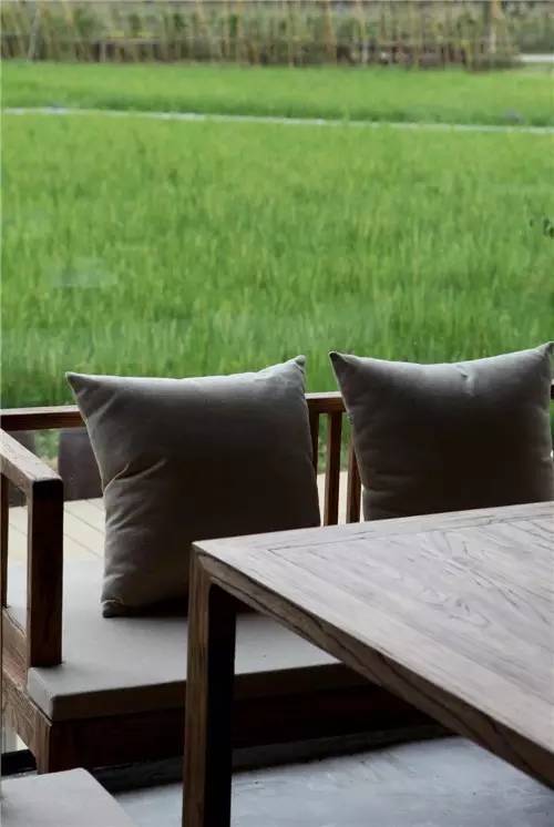 3間開在稻田里的民宿，回歸自然向往田園風光