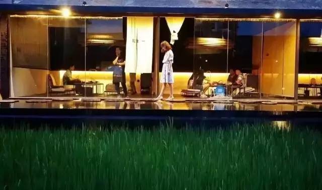 3間開在稻田里的民宿，回歸自然向往田園風(fēng)光