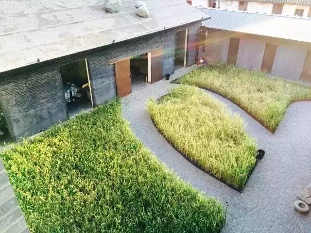 3間開在稻田里的民宿，回歸自然向往田園風(fēng)光