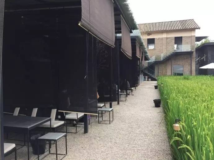 3間開在稻田里的民宿，回歸自然向往田園風(fēng)光