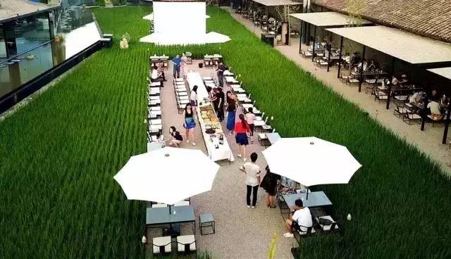 3間開在稻田里的民宿，回歸自然向往田園風(fēng)光