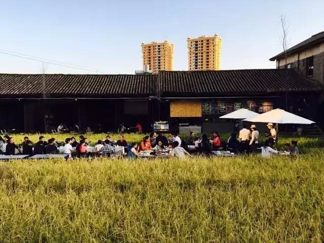 3間開在稻田里的民宿，回歸自然向往田園風(fēng)光