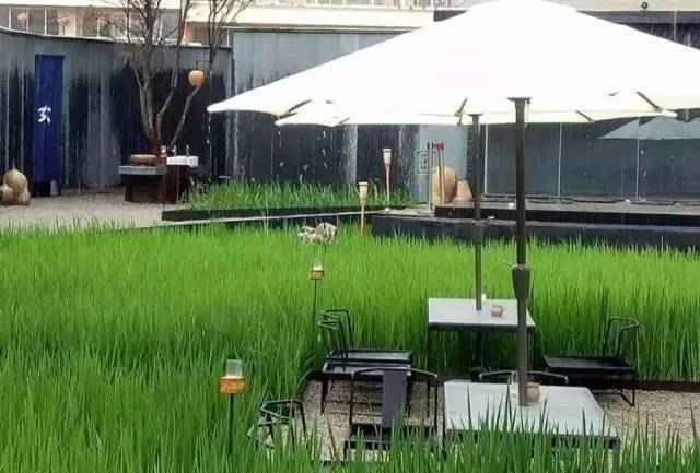 3間開在稻田里的民宿，回歸自然向往田園風(fēng)光