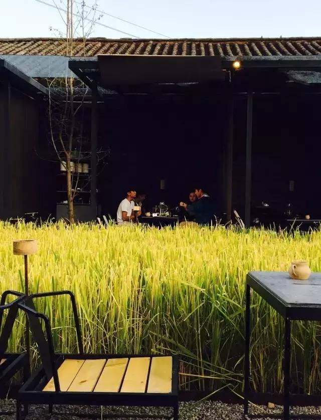 3間開在稻田里的民宿，回歸自然向往田園風(fēng)光