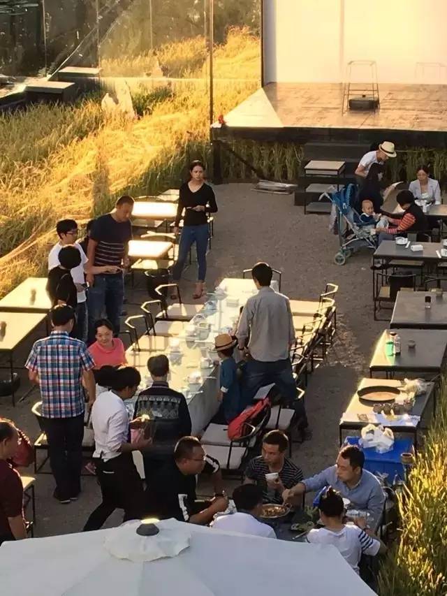 3間開(kāi)在稻田里的民宿，回歸自然向往田園風(fēng)光