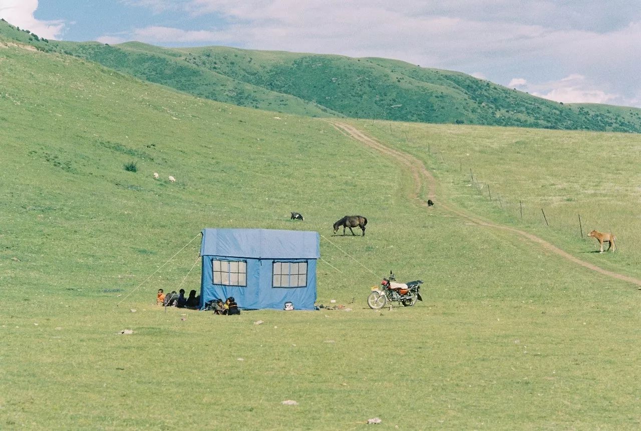 大理密嚴(yán)，繁花盛放找尋已久的內(nèi)心凈土