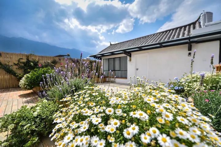 大理密嚴，繁花盛放找尋已久的內(nèi)心凈土